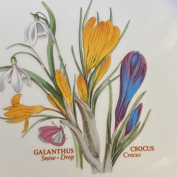2 Portmeirion dinner plates 10.5” in 1.5” deep pasta GALANTHUS CROCUS England - Picture 4 of 12